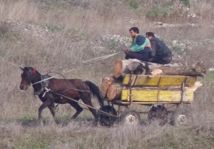 Забраниха каруците и в ромските махали в Пловдив