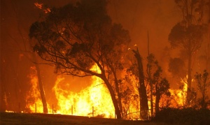 Горски пожари предизвикаха евакуация в Австралия