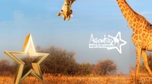 Луксозен джип е наградата в "Африка: Звездите сигурно са полудели"