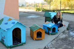 Мис България подари къщички на бездомни кучета