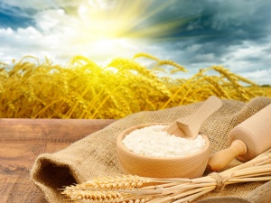 251 лв. ще е прагът на бедността от 2014 г.