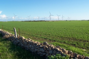 Ветроенергийният парк край Калиакра е бил грешка