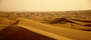Най-малко 35 загинали от жажда в пустиня в Нигер