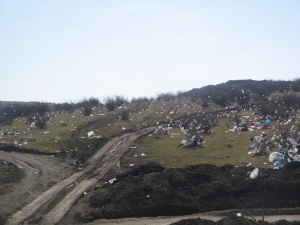 ЕК предлага драконовски мерки срещу употребата на найлонови торбички