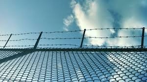 Американски медици са участвали в насилие над задържани