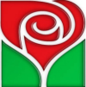 БСП търси магистри с 2 чужди езика за евродепутати