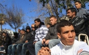 Нелегалните имигранти са  9567