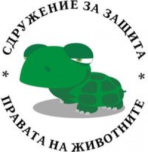 Неизвестен отряза краката на куче