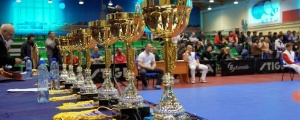 8 медала за България на световното по самбо