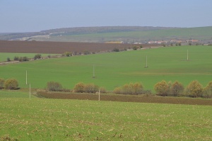 "Газпром" финансира българските и сръбски участъци на "Южен поток"