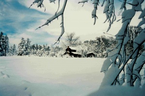 Декември ще бъде по-топъл от миналата година