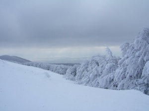 Сняг вали почти над цялата страна, оранжев код в пет области