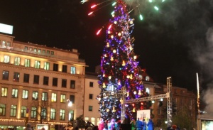Пускат светлините на коледната елха на София на 1 декември