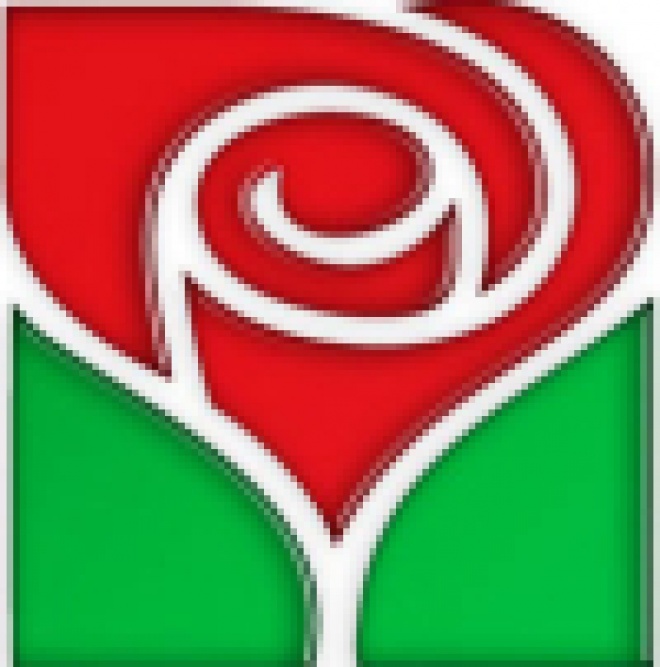 БСП търси магистри с 2 чужди езика за евродепутати