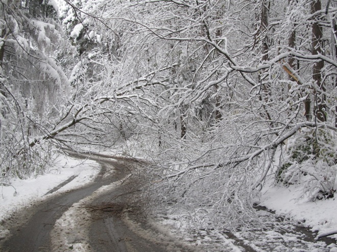 Снегът остави без ток десетки села в Балкана