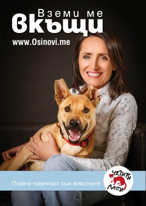 Звезди от „Столичани в повече“ лица на „Четири лапи“