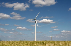 "Зелените": Данък за възобновяема енергия заради корпоративни интереси