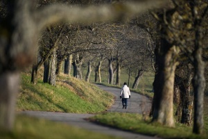 Ноември бил най-топлият от 134 г. насам