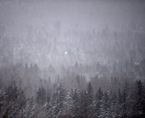 Осем загинали заради бури в САЩ, хиляди останаха без ток в Канада