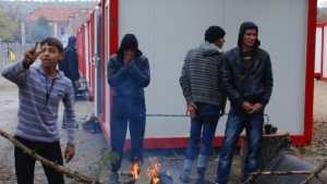 Задържаха 7 сирийци на "Дунав мост"
