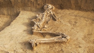 Скелет на бременна жена на 6000 години откриха в Свещари