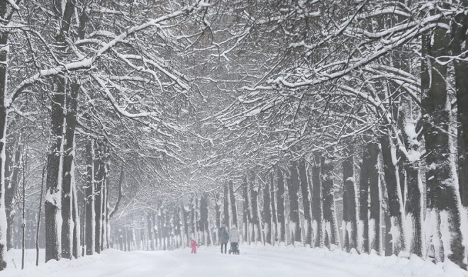 Сняг остави 30 хил. без ток в Латвия