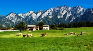 Нов етикет на храните в ЕС: Произведено в планината