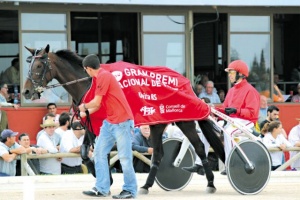 Български кон спечели в Палма де Майорка