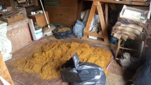 МВР разкри незаконен цех за преработка на тютюн