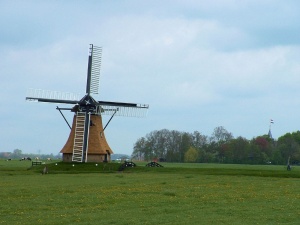 Българите платили 55 от 805 глоби за социални помощи в Холандия