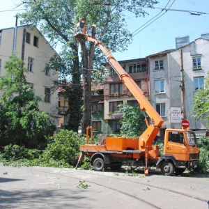 Деца се вдигнаха на протест заради топола