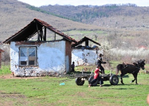Плевенско село на бунт срещу ромските кражби