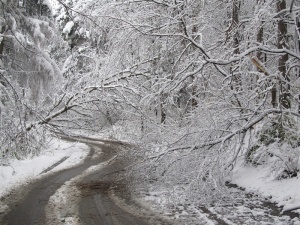 Сняг в края на януари, според Празников