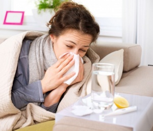 Четири области пред грипна епидемия