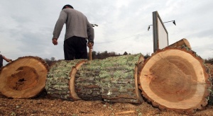 Бунт на ромите в Ихтиман