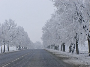 Автобус на партията на Бареков се е преобърнал