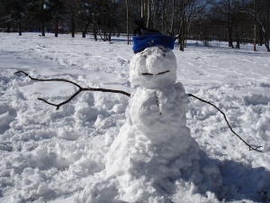 Снежни човеци протестират в Русе