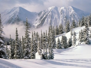 От -13 до +20 градуса през Февруари