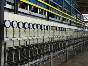 „Зелените“ на протест пред посолството на Унгария заради АЕЦ