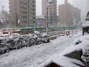 Снежна буря вилнее в Япония