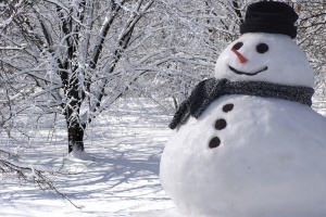 В Русе продават снежни човеци