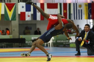 Иран и Япония триумфираха на световната купа по борба