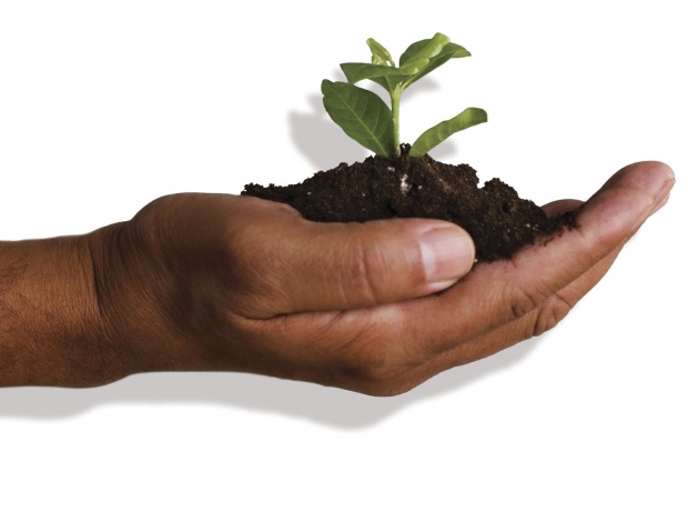 2014 г. се очертава „нулева“ за биоземеделието