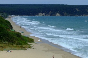 „Зелените“ внасят жалба във ВАС заради Карадере