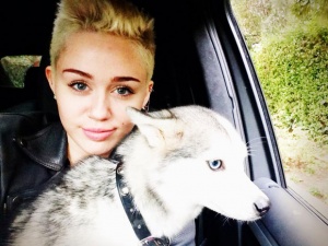 Майли в траур заради загубата на кучето си