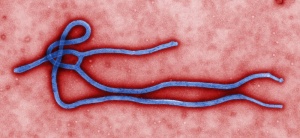 Три случая на смъртоносния вирус ебола в Мали