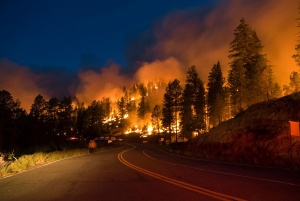 11 жертви взе огненото бедствие в Чили
