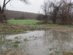 Безработни помагат в почистването след наводненията