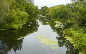 Труп на жена е открит в река Луда Мара