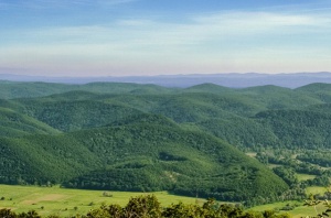 Парк „Странджа” дава 384 000 лв. за сайт